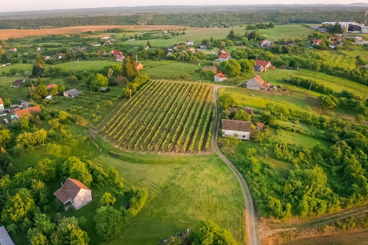 Village Wine House Mandicevac 외부 사진