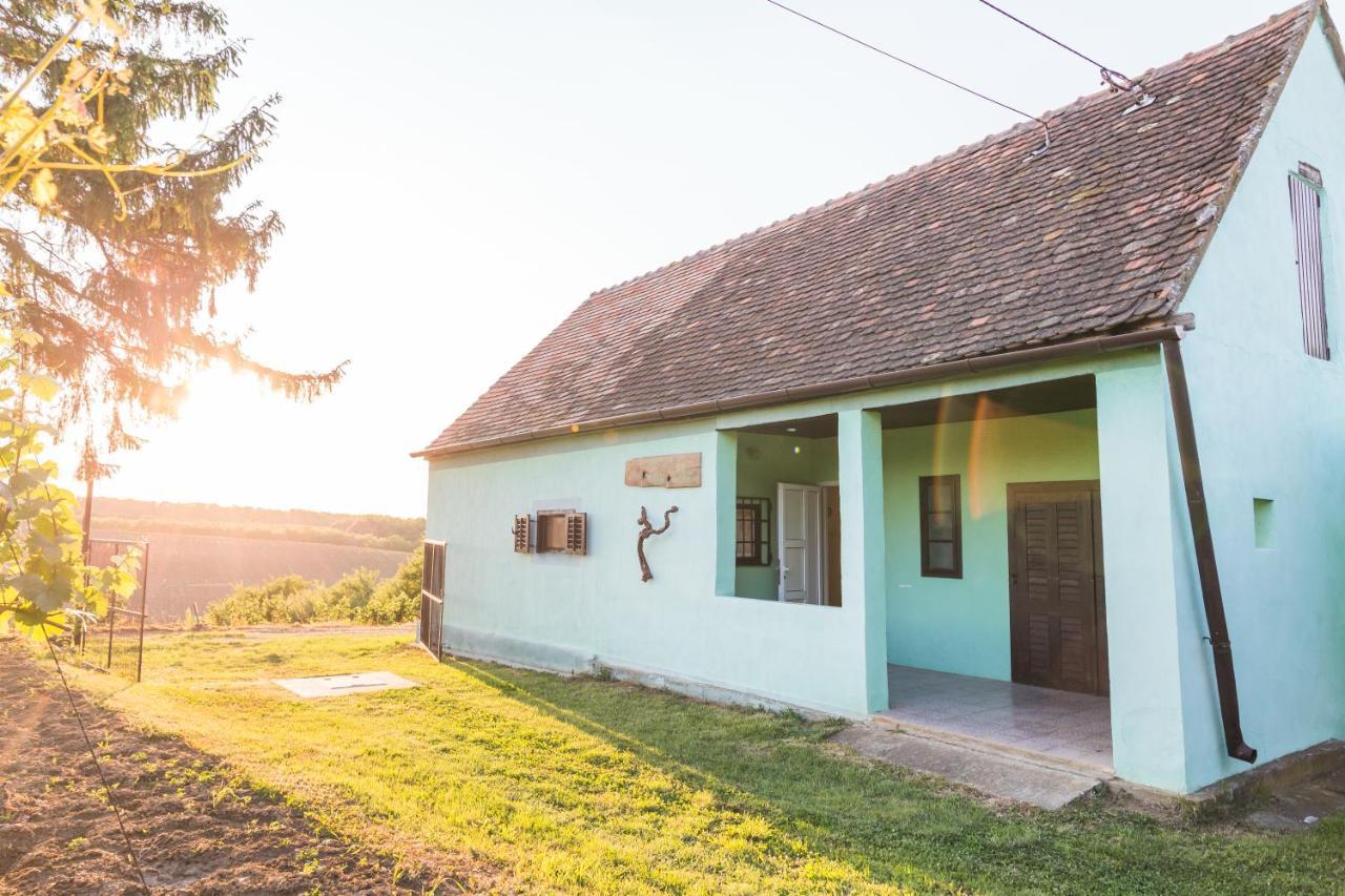 Village Wine House Mandicevac 외부 사진