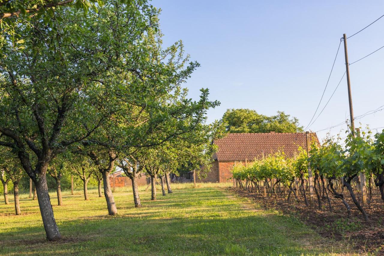 Village Wine House Mandicevac 외부 사진