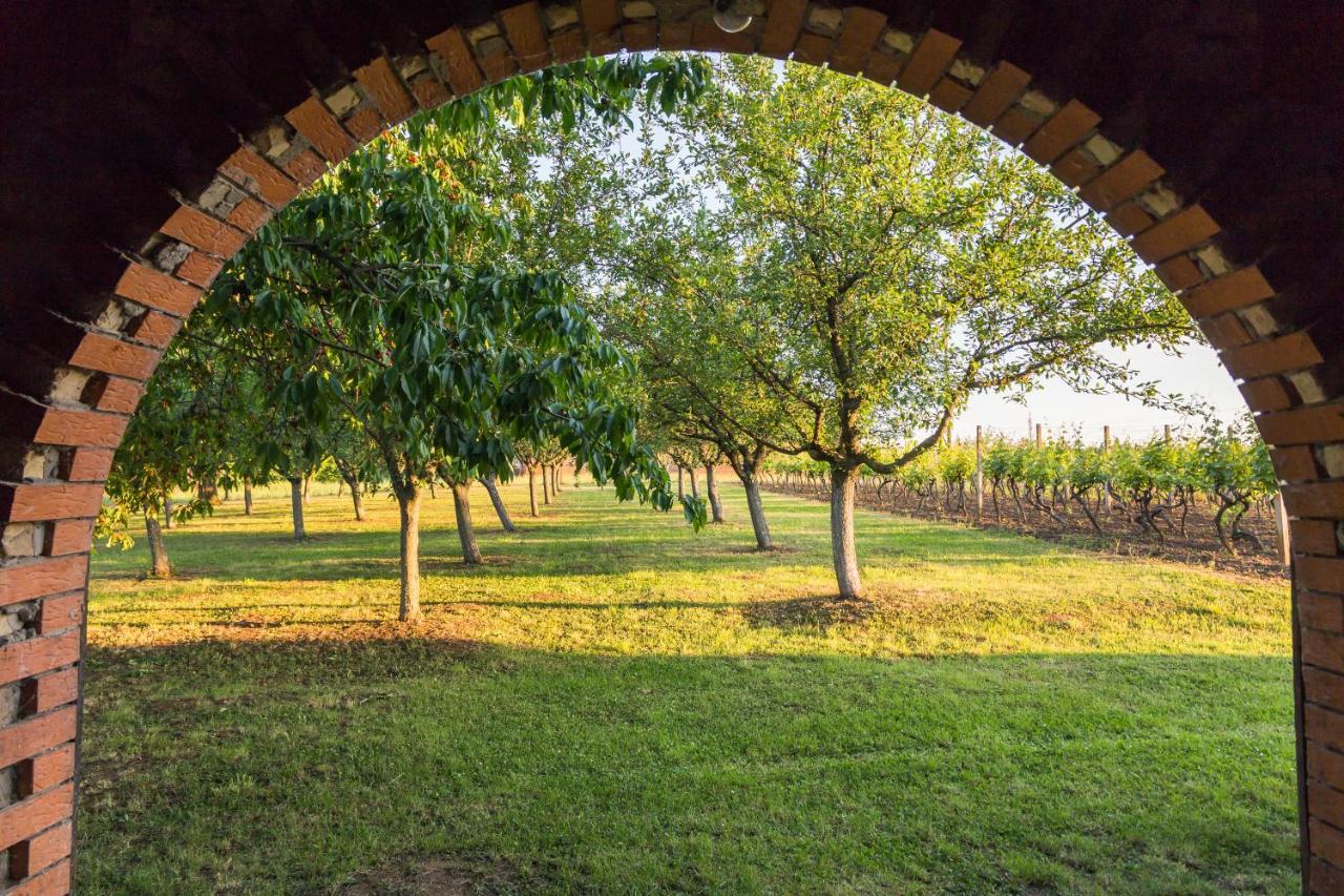 Village Wine House Mandicevac 외부 사진