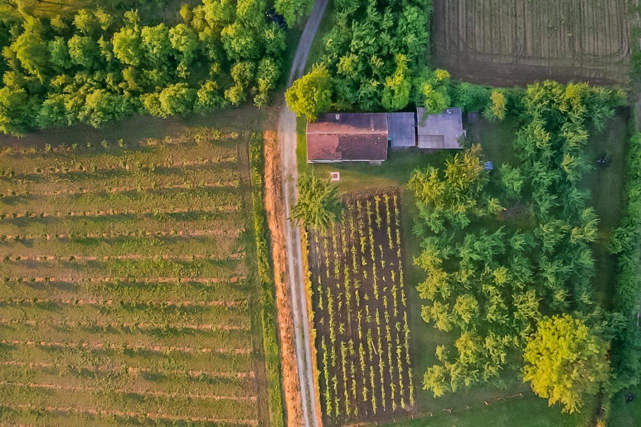 Village Wine House Mandicevac 외부 사진