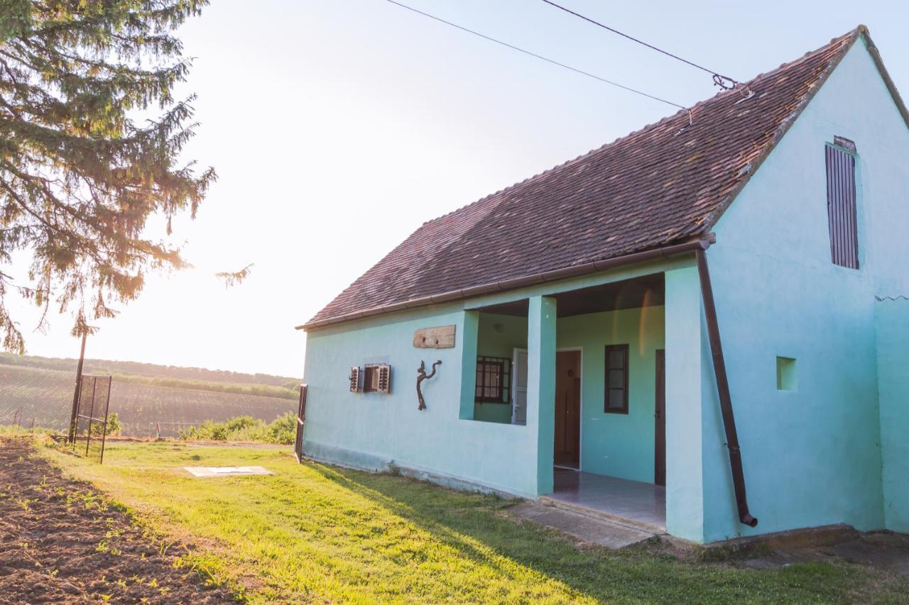 Village Wine House Mandicevac 외부 사진