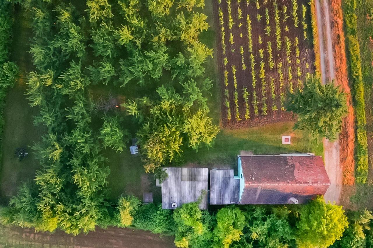 Village Wine House Mandicevac 외부 사진