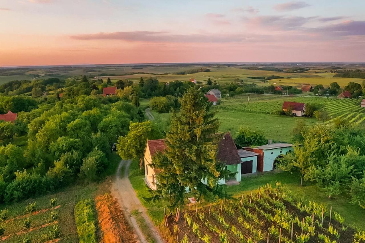 Village Wine House Mandicevac 외부 사진
