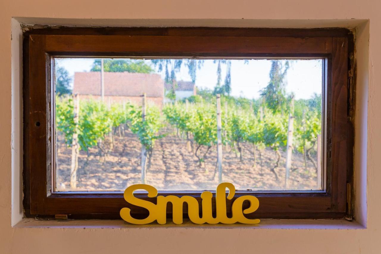 Village Wine House Mandicevac 외부 사진