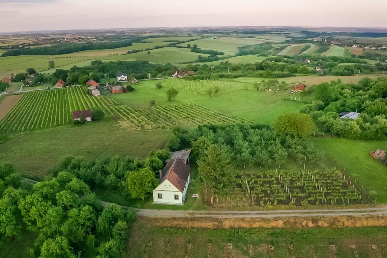 Village Wine House Mandicevac 외부 사진