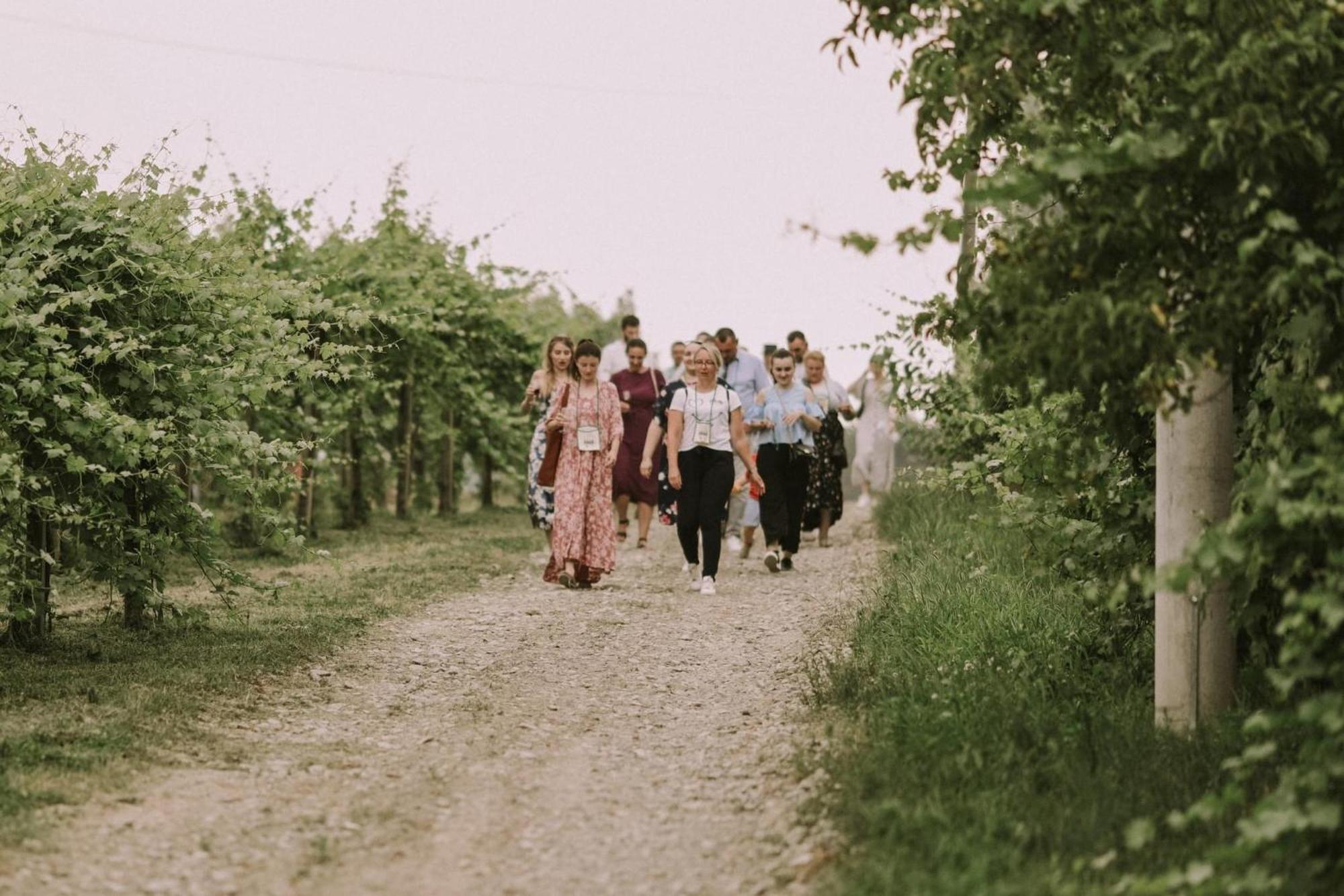 Village Wine House Mandicevac 외부 사진